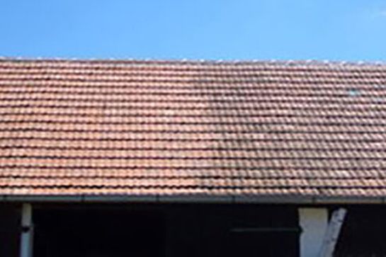 Dachflächenreinigun
