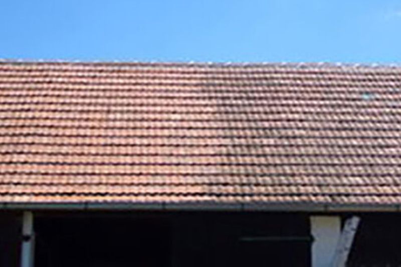 Dachflächenreinigung