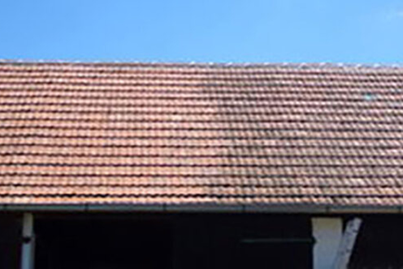 Dachflächenreinigung